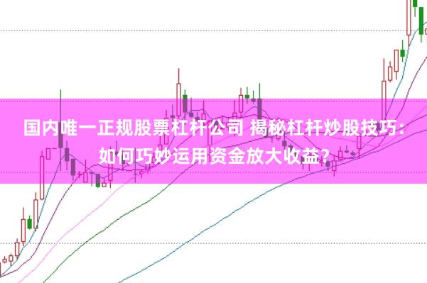 国内唯一正规股票杠杆公司 揭秘杠杆炒股技巧：如何巧妙运用资金放大收益？